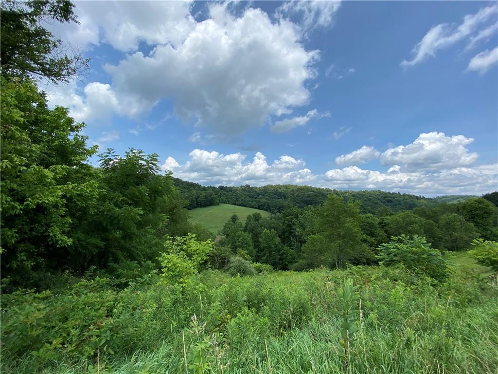 334 Lough Road Wind Ridge, PA 15380 - Photo 9 of 25