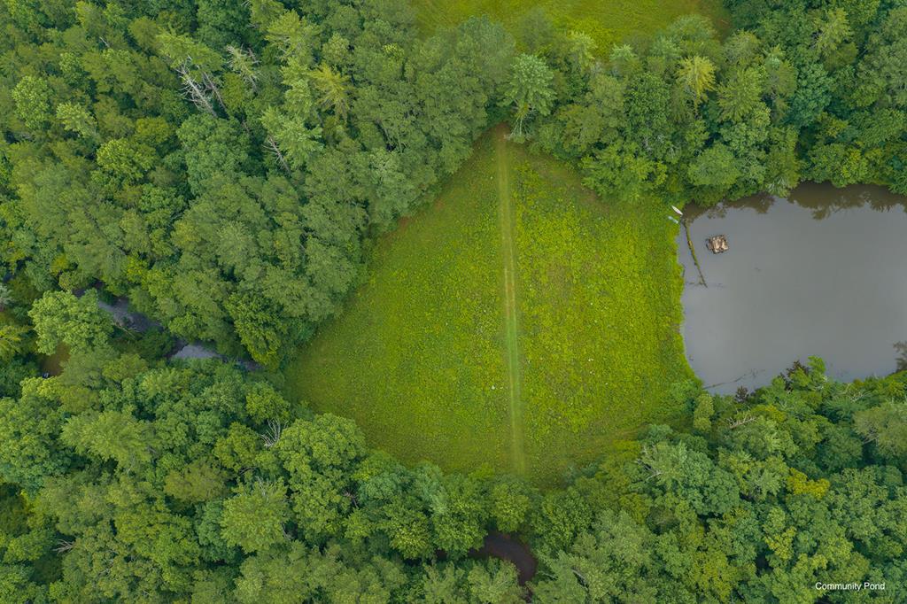 196 Creek Camp Road Ellijay, GA 30536 - Photo 55 of 59