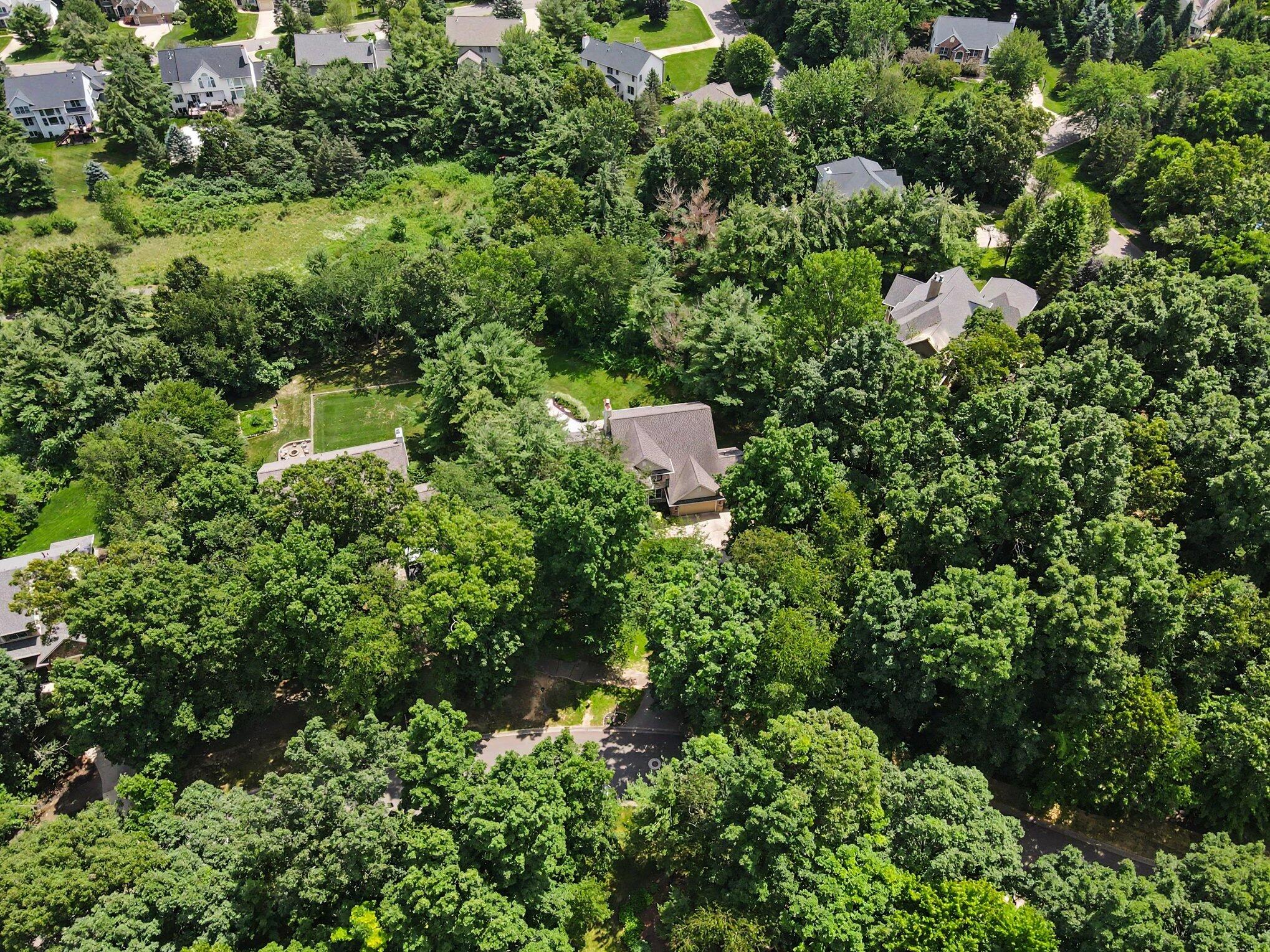 8203 Barony Point Mattawan, MI 49071 - Photo 46 of 48 047_file_2907