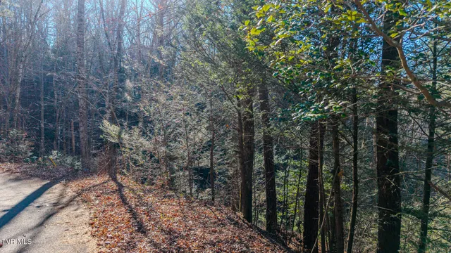 $159,500 | 22 R Shady Grove Court, Sevierville, TN 37876