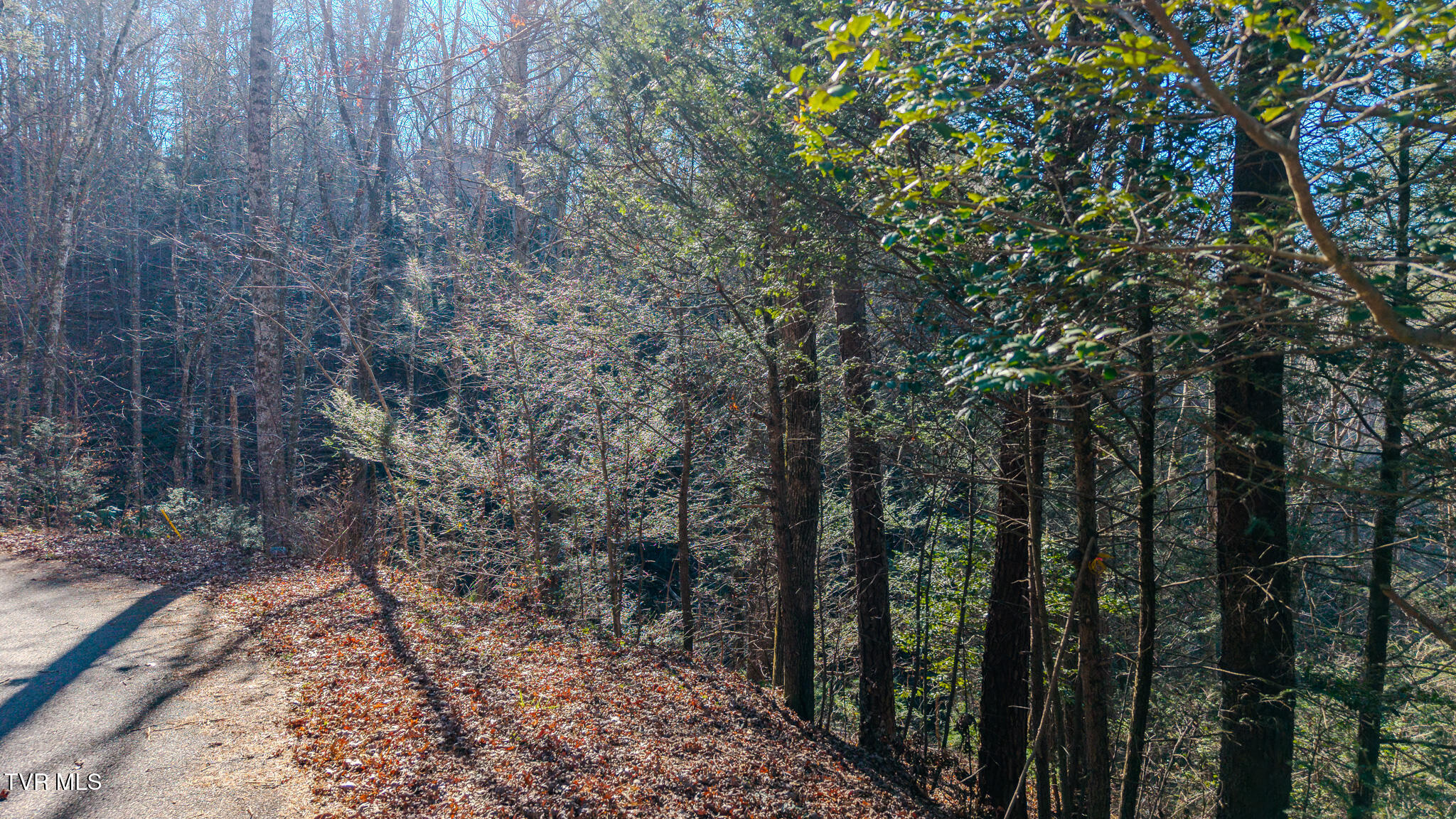 22 R Shady Grove Court Sevierville, TN 37876 - Photo 11 of 16 DJI_20251211133353_0536_D