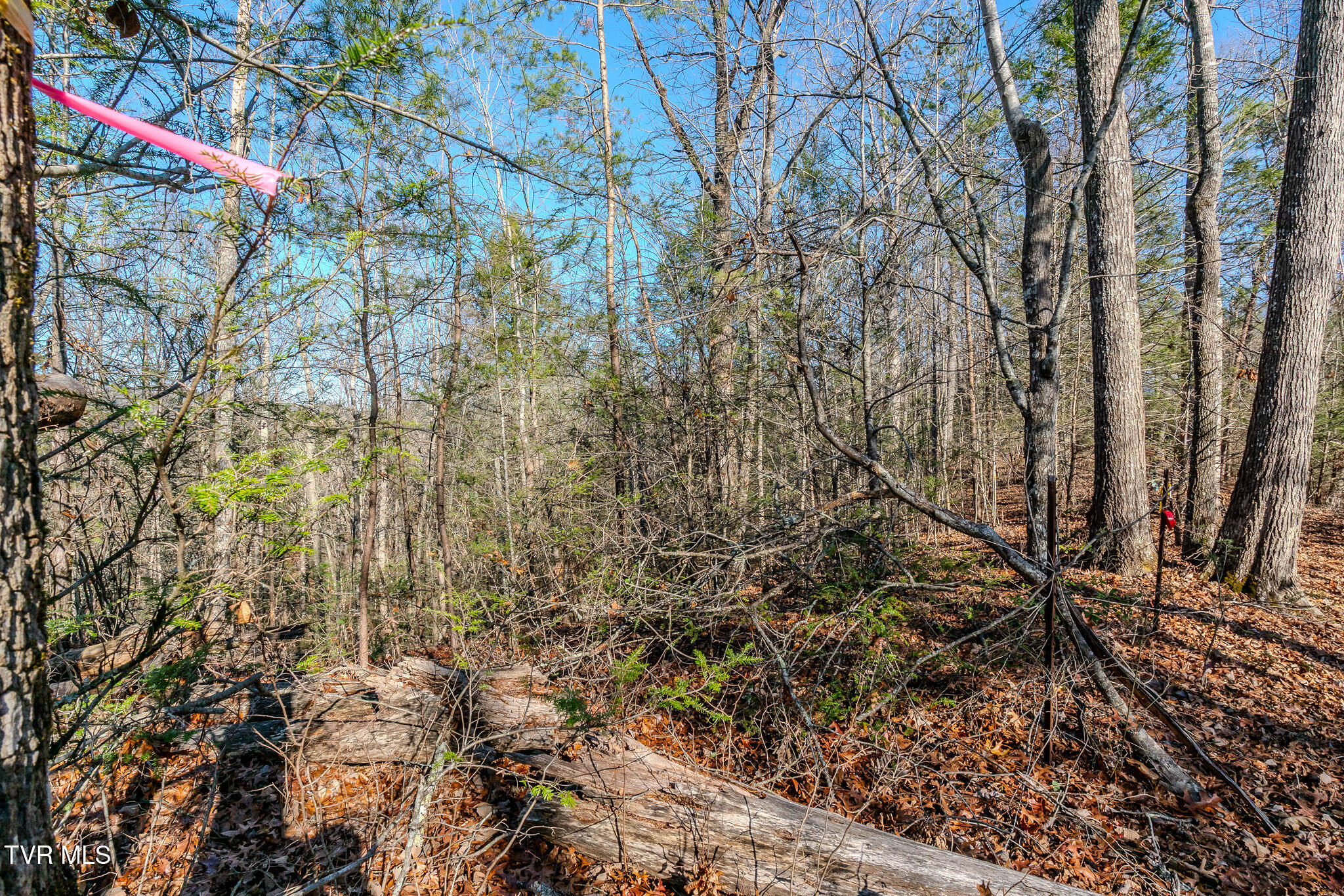 22 R Shady Grove Court Sevierville, TN 37876 - Photo 2 of 16 _DSC7672-HDR