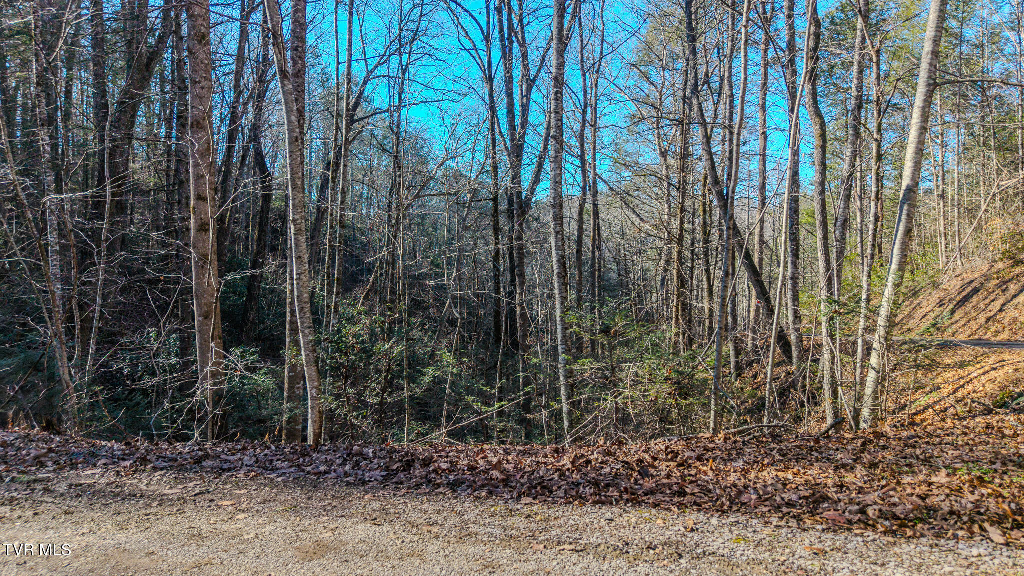 22 R Shady Grove Court Sevierville, TN 37876 - Photo 4 of 16 DJI_20251211132721_0526_D