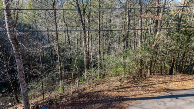 $159,500 | 22 R Shady Grove Court, Sevierville, TN 37876