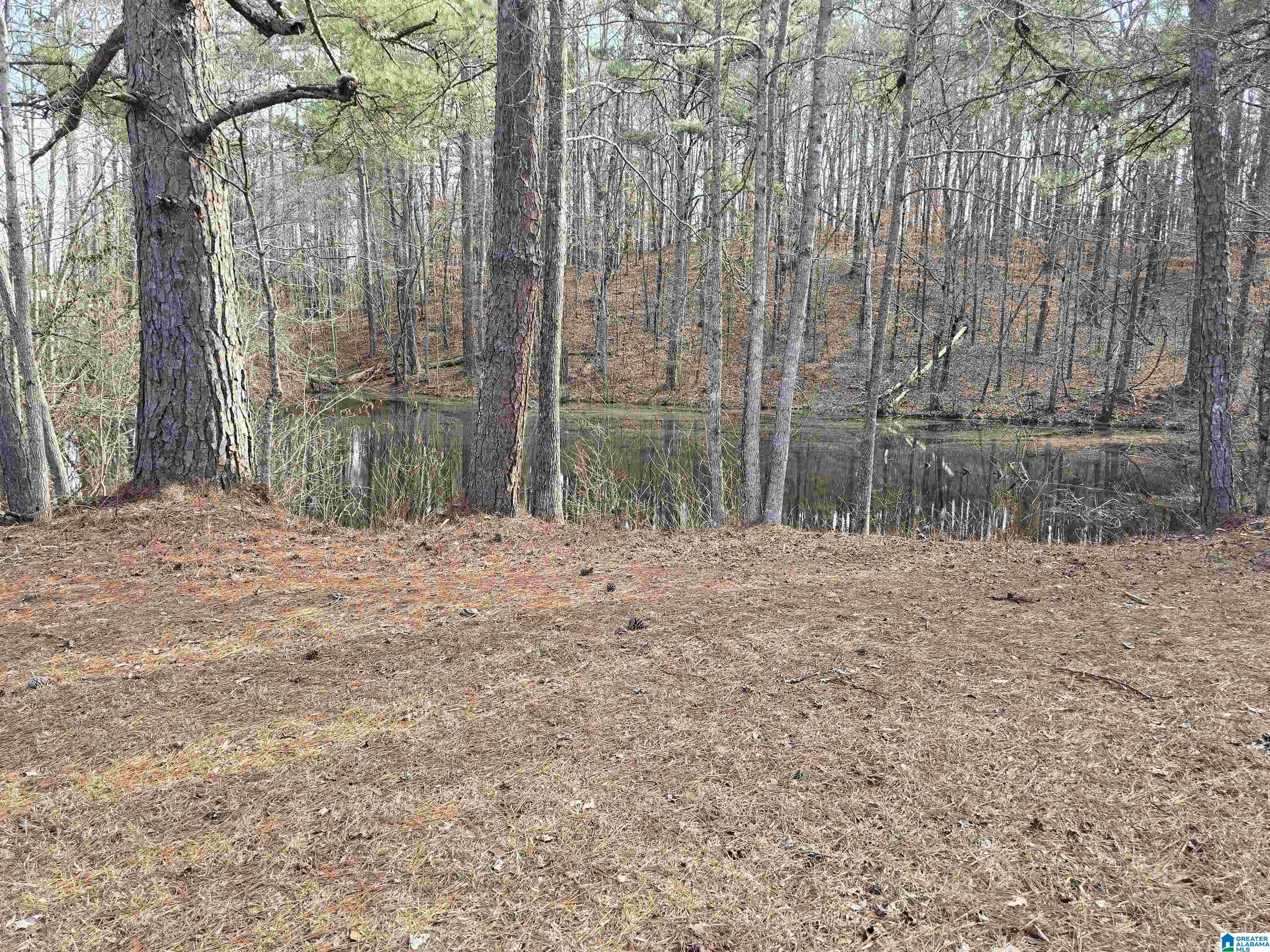 1958 Horns Lake Road Talladega, AL 35160 - Photo 30 of 30