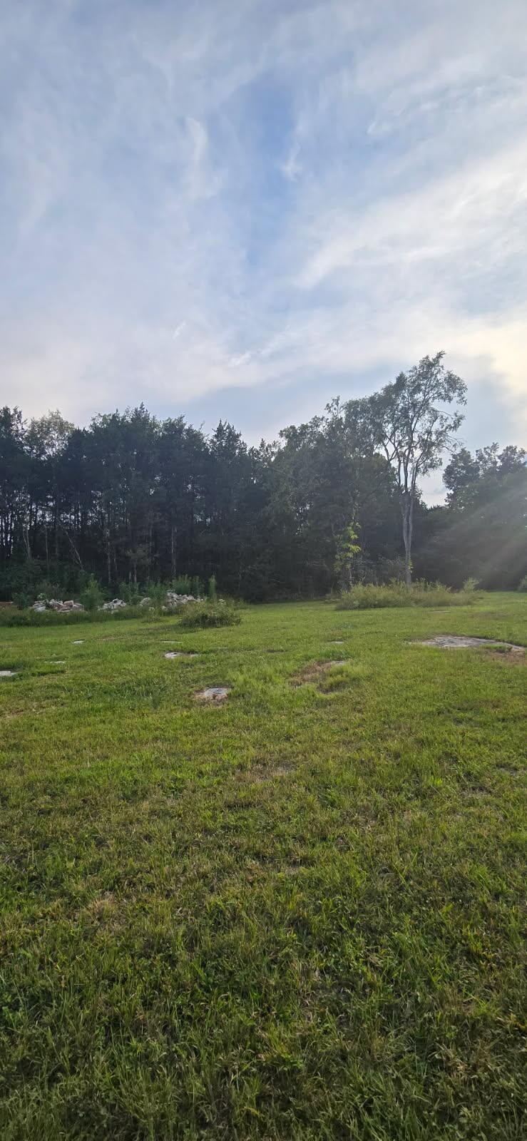 17600 Cainsville Road Lascassas, TN 37085 - Photo 2 of 4