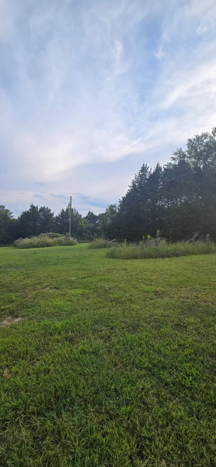 17600 Cainsville Road Lascassas, TN 37085 - Photo 3 of 4