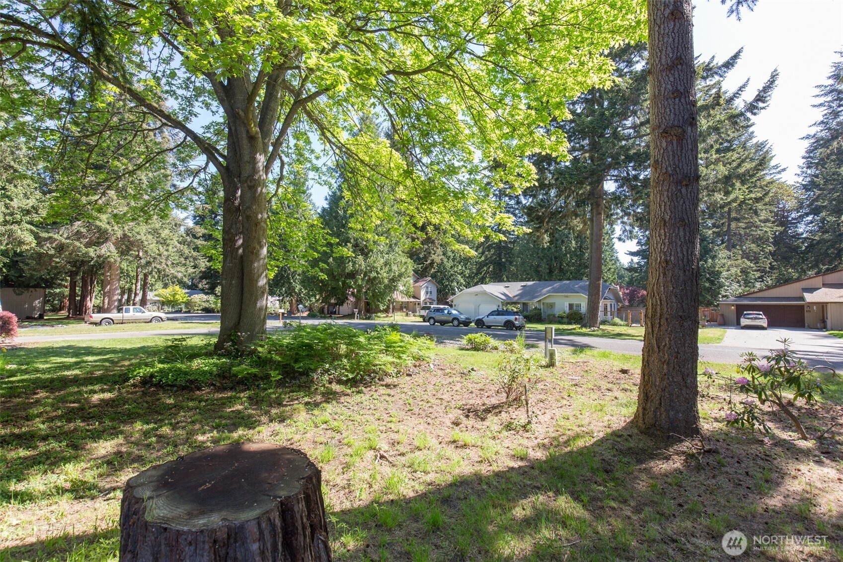 123 Forest Ridge Drive Sequim, WA 98382 - Photo 6 of 32 a view of a backyard with large trees