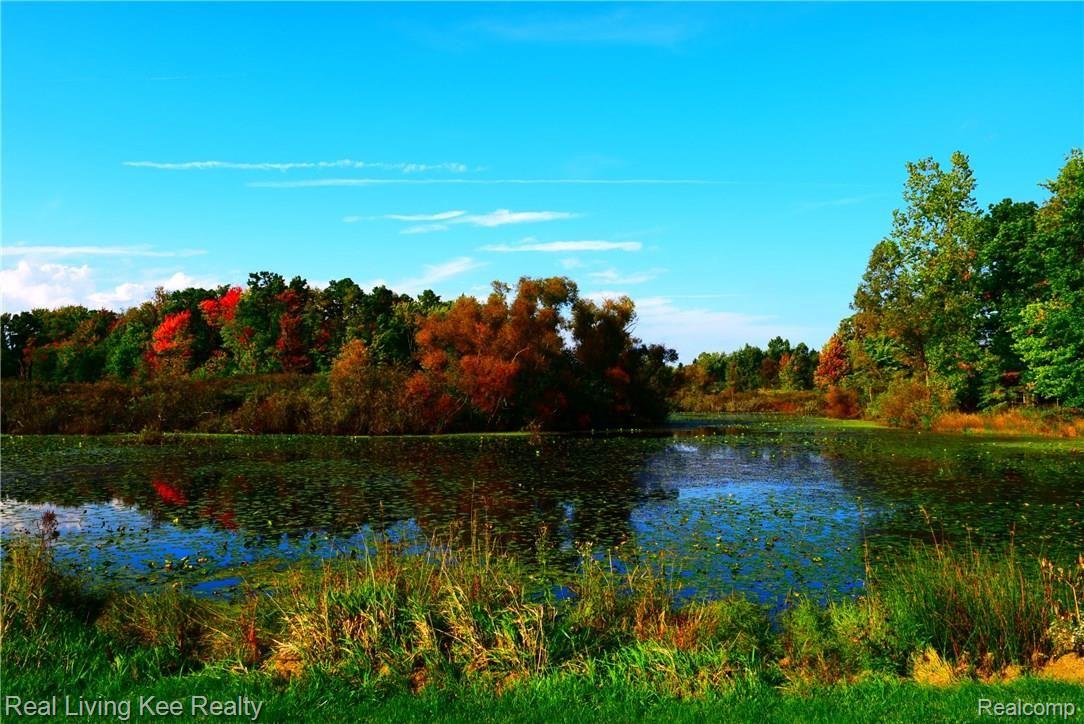 19300 Hickory Ridge Road Fenton, MI 48430 - Photo 22 of 25 Beautiful Fall Views