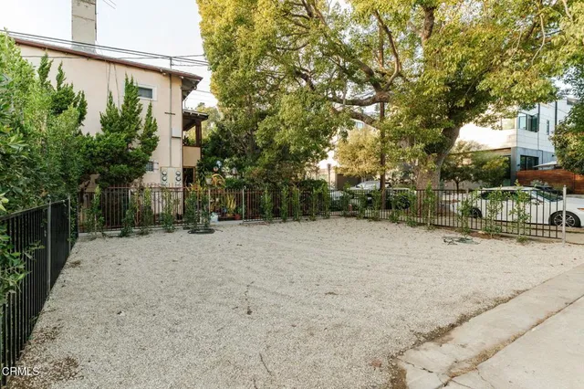 a view of a yard with plants and trees