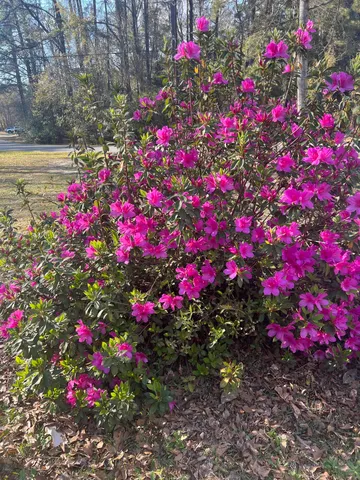 $345,000 | 431 Otis Road, Walterboro, SC 29488