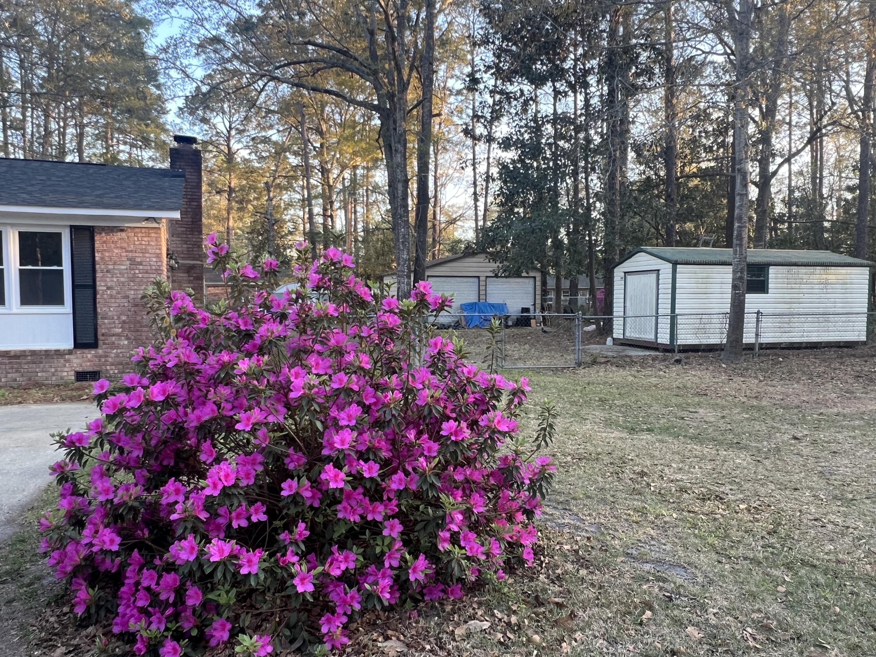 431 Otis Road Walterboro, SC 29488 - Photo 8 of 29 IMG_4113