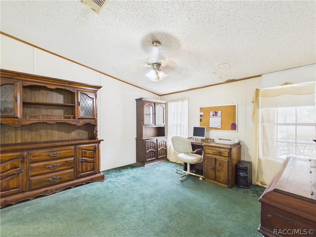 7085 South Rhoder Point Lecanto, FL 34461 - Photo 11 of 26