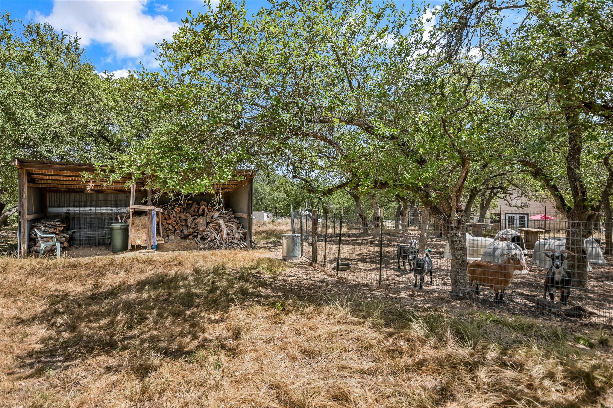 401 North Rainbow Ranch Road Wimberley, TX 78676 - Photo 32 of 39 Mature trees shade a rustic outbuilding and fenced animal enclosure on this expansive rural property.