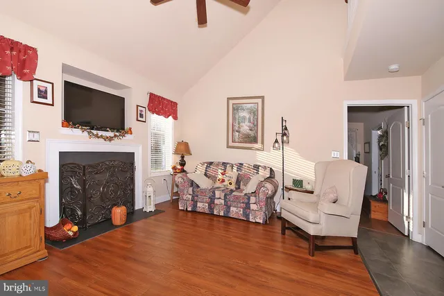 a view of living room with furniture and a fireplace