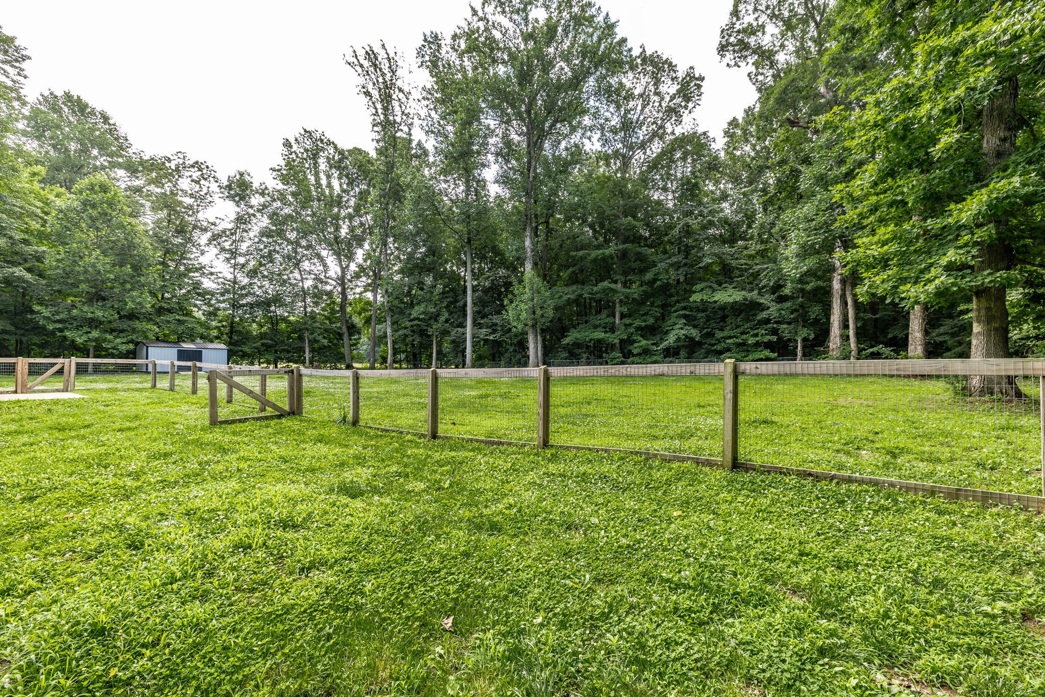 13989 Owens Chapel Road Springfield, TN 37172 - Photo 32 of 43 a view of a park with a park