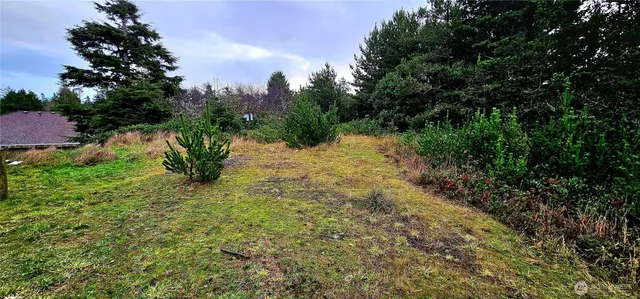 a view of a yard with a tree