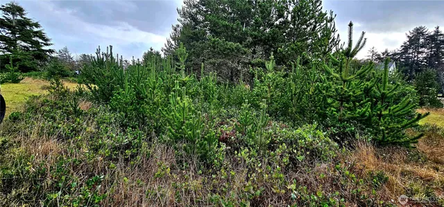 $130,000 | 30514 K Place, Ocean Park, WA 98640