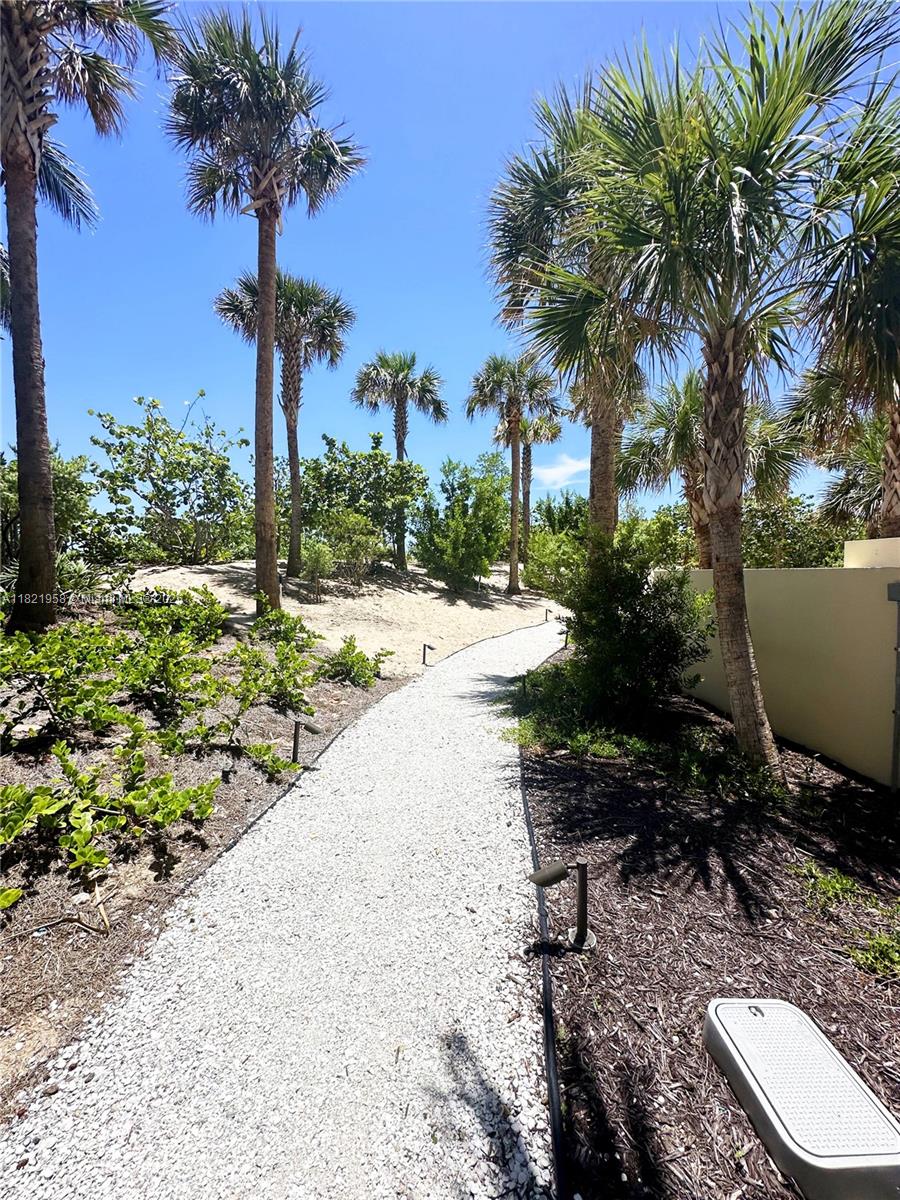 3100 North Ocean Drive, Unit 1206 Singer Island, FL 33404 - Photo 38 of 40 a view of a backyard with plants and palm trees