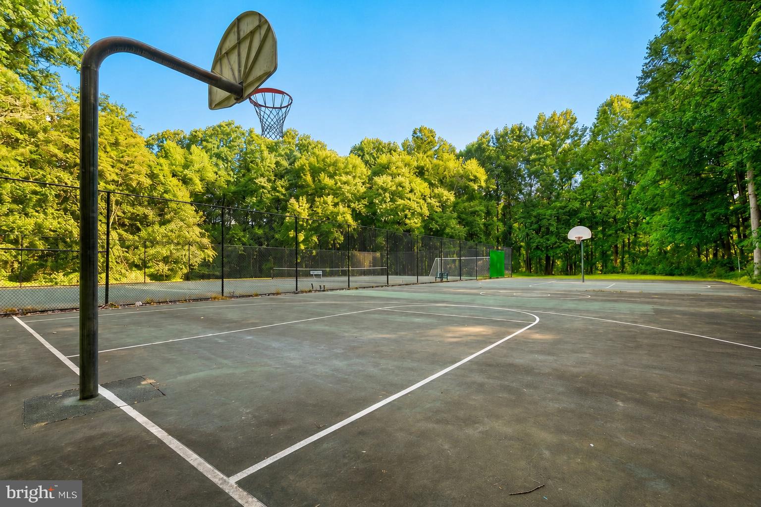 11252 Chestnut Grove Square, Unit 248 Reston, VA 20190 - Photo 25 of 25 Serene court amidst lush greenery.