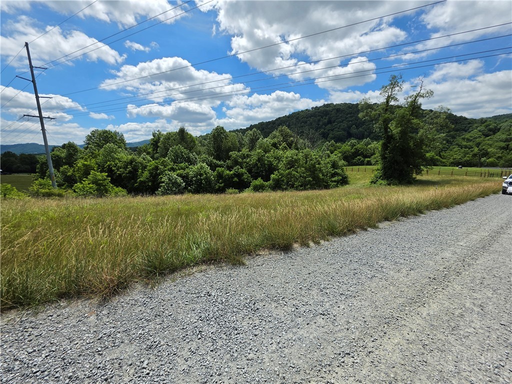 Lot 4 Toms Knob Road, Unit 4 Sparta, NC 28675 - Photo 2 of 5