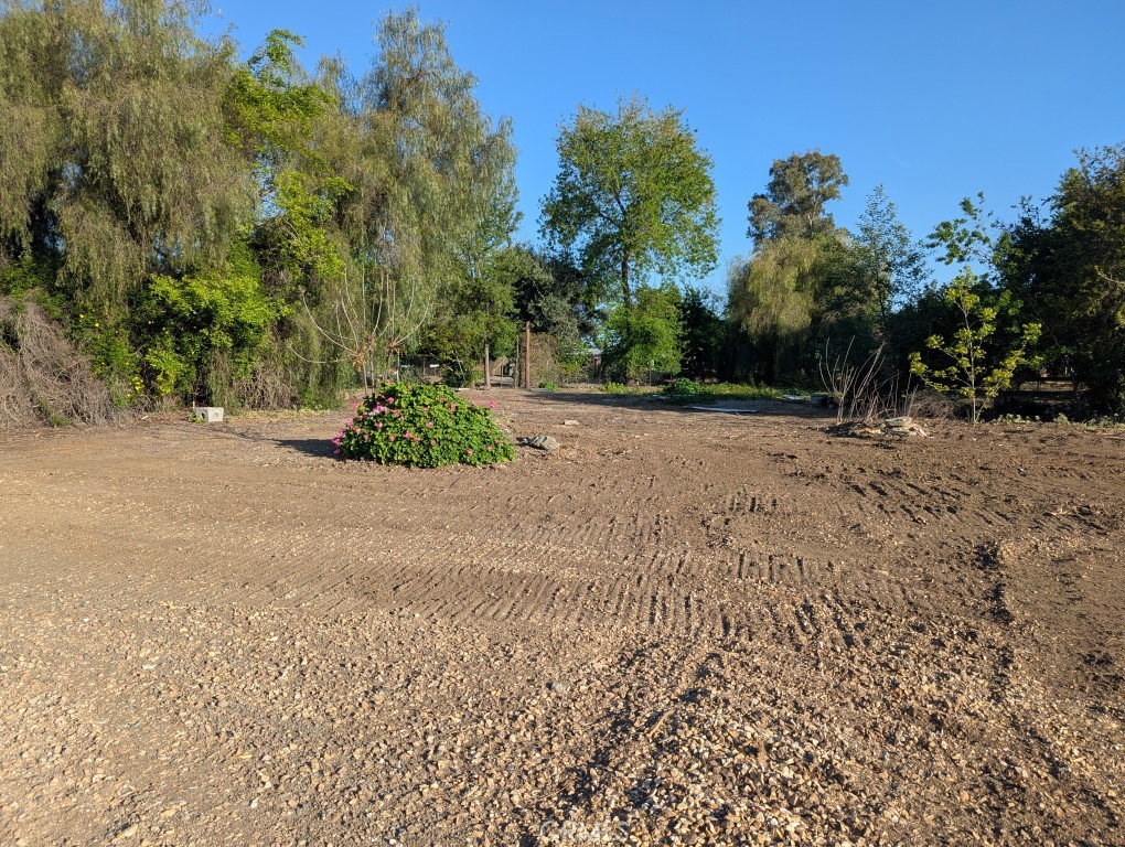 421 5th Street Willows, CA 95988 - Photo 2 of 9