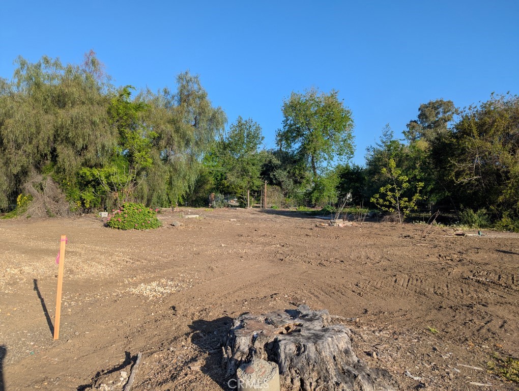 421 5th Street Willows, CA 95988 - Photo 4 of 9