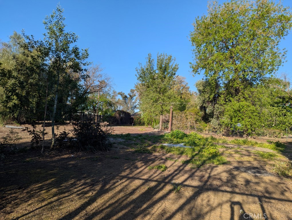 421 5th Street Willows, CA 95988 - Photo 7 of 9