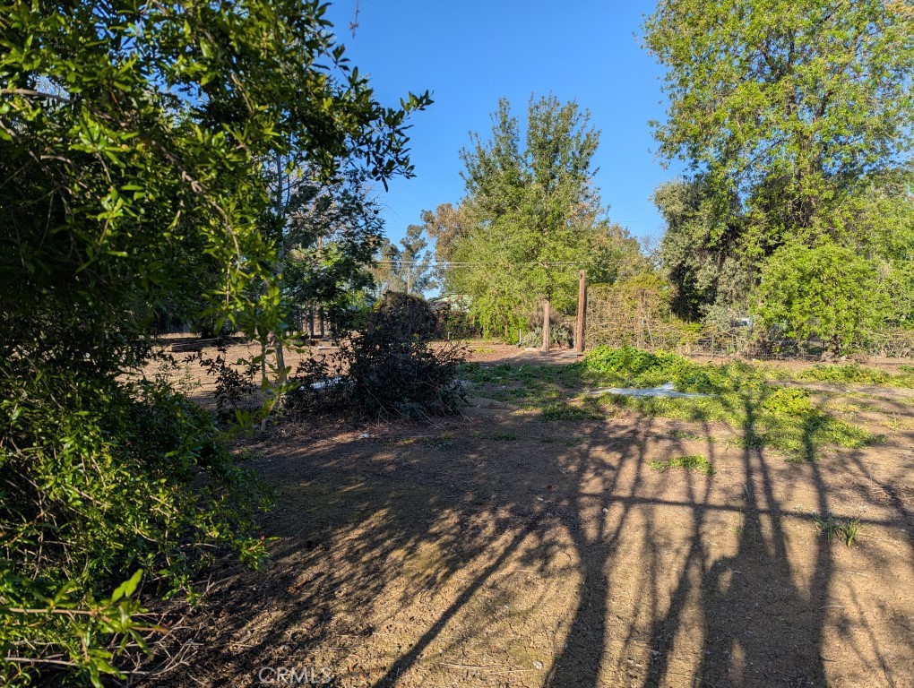 421 5th Street Willows, CA 95988 - Photo 8 of 9