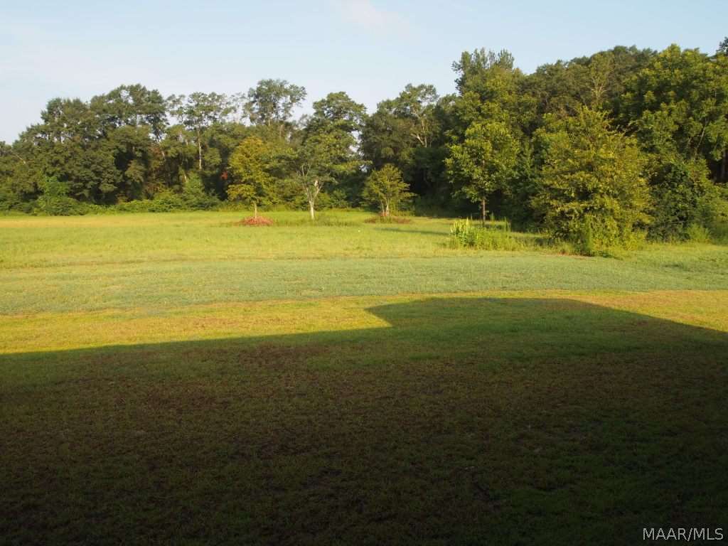 503 Northbrook Slocomb, AL 36375 - Photo 22 of 28 Gallery Image 22