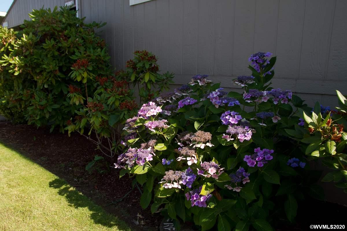 5422 Portland Road Northeast, Unit 107E Salem, OR 97305 - Photo 2 of 27 Gallery Image 2
