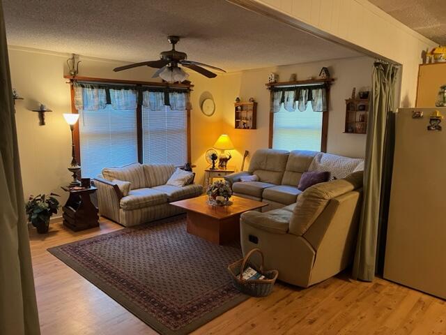 259 Frank Holloway Road McCormick, SC 29835 - Photo 6 of 12 IMG_9994