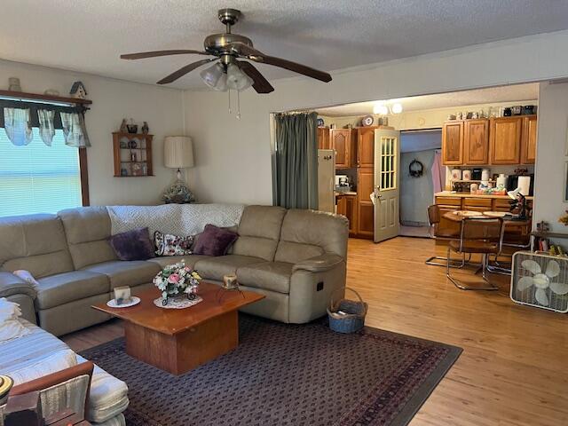 259 Frank Holloway Road McCormick, SC 29835 - Photo 9 of 12 IMG_9985