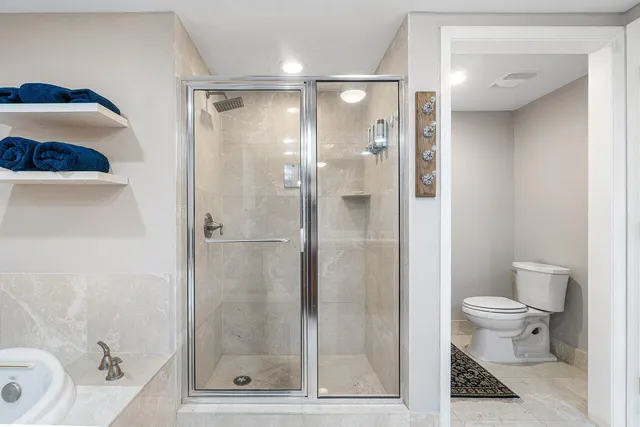 a bathroom with a shower and a toilet