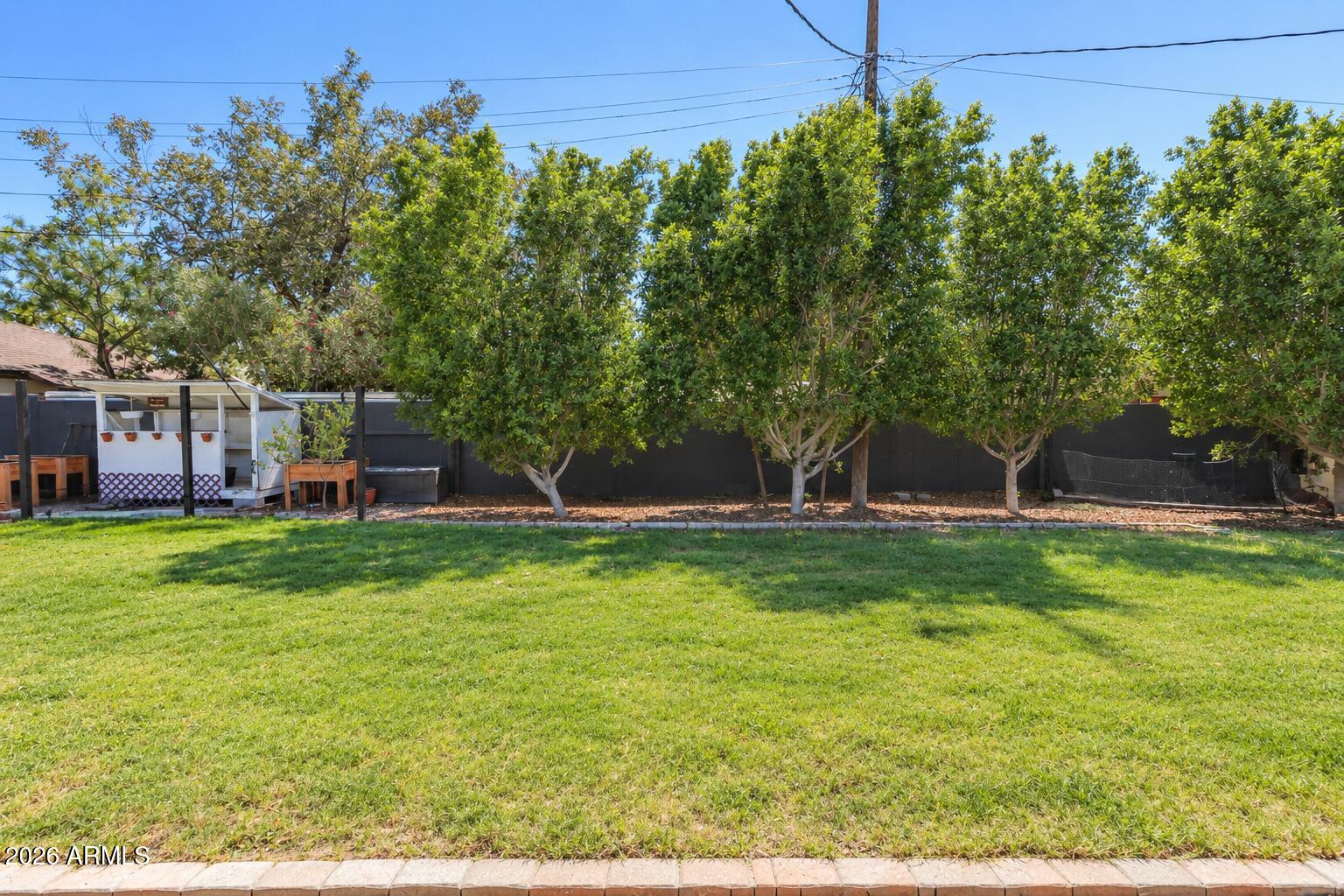 1311 West Thomas Road Phoenix, AZ 85007 - Photo 51 of 60 Grass Area 1