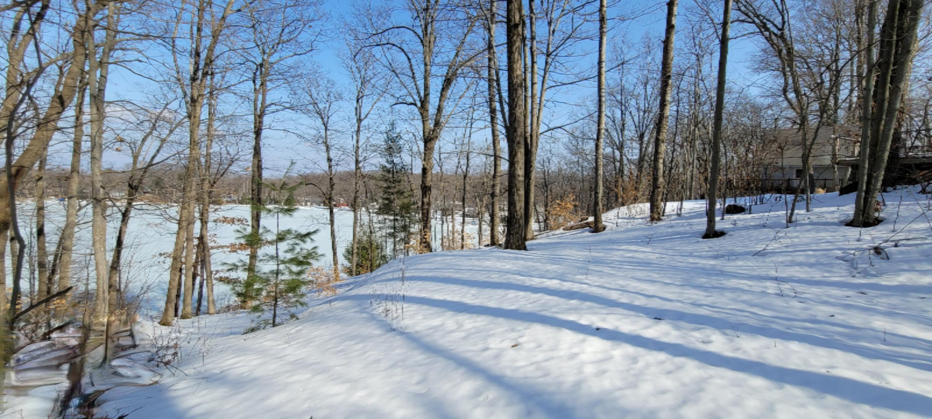 6278 East Interlochen Road Fountain, MI 49410 - Photo 5 of 31 20210303_151541