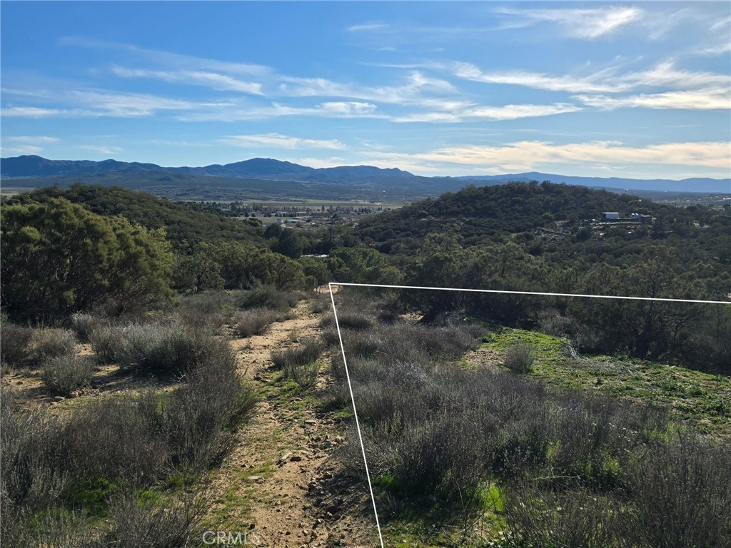 47 Anza Crest Road Anza, CA 92539 - Photo 3 of 6 a view of a balcony with a forest
