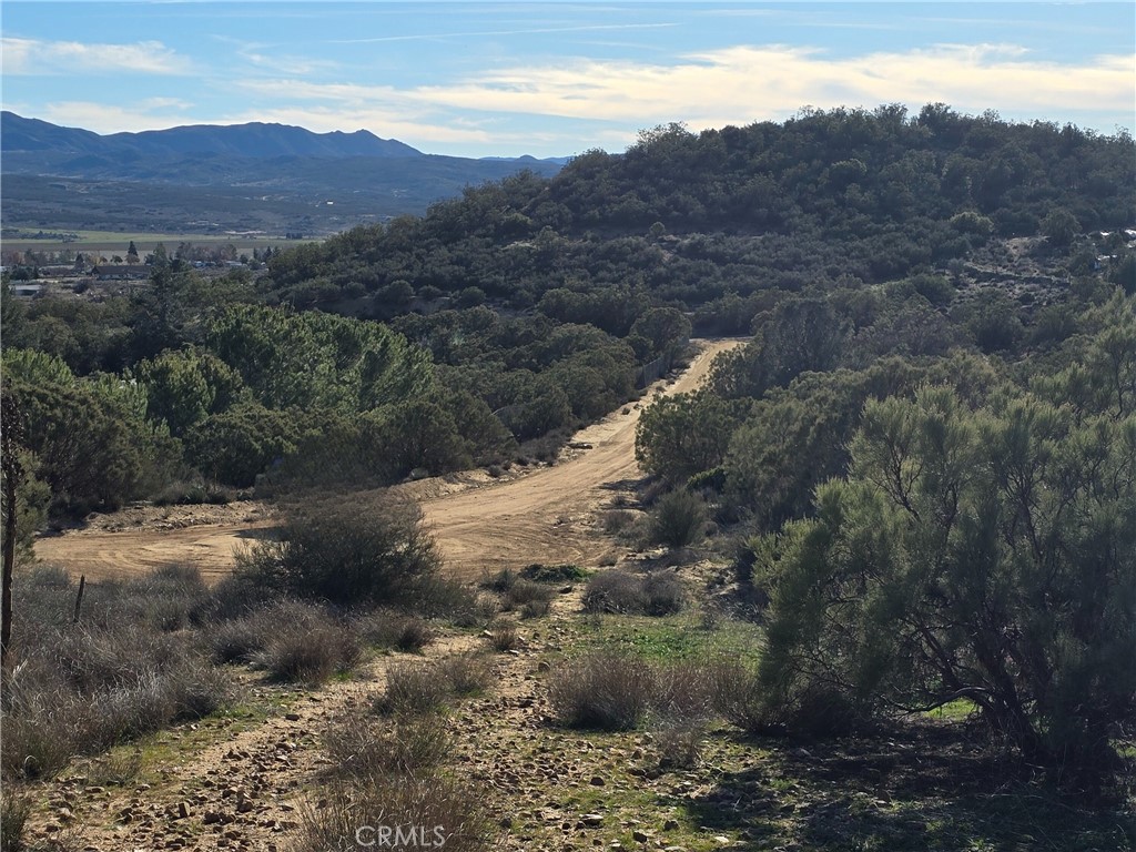 47 Anza Crest Road Anza, CA 92539 - Photo 4 of 6 a view of a forest with a yard