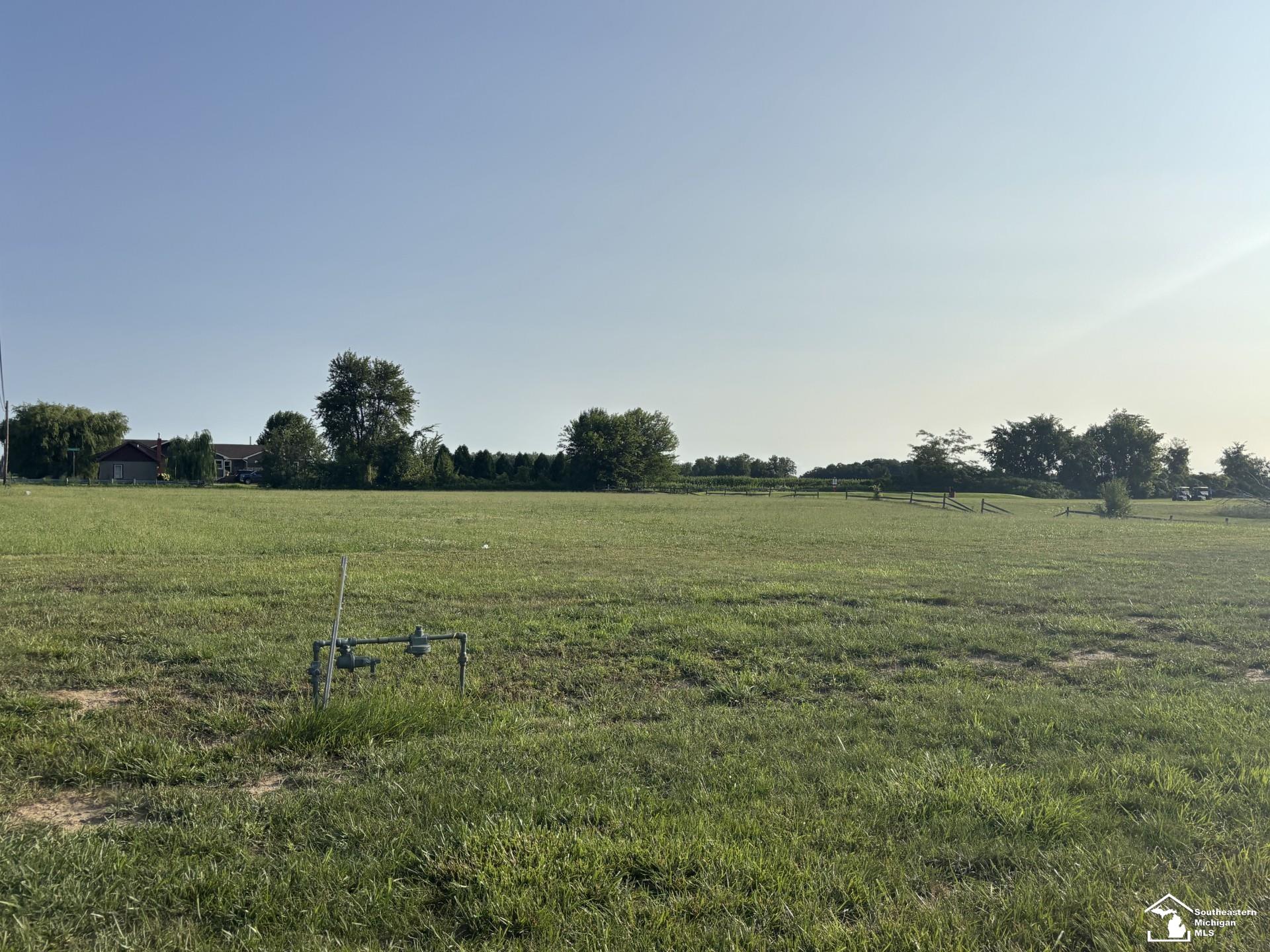 0 West Temperance Road Ottawa Lake, MI 49267 - Photo 1 of 5