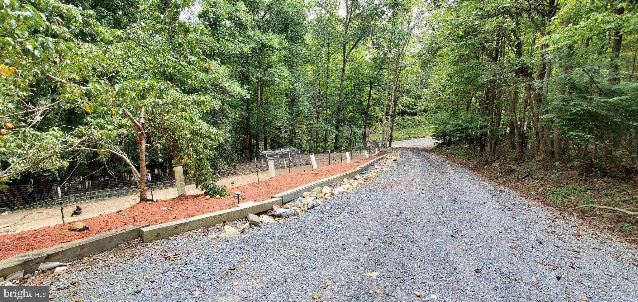 98 Old Oregon Road Front Royal, VA 22630 - Photo 41 of 42 Fruit trees line the drive way