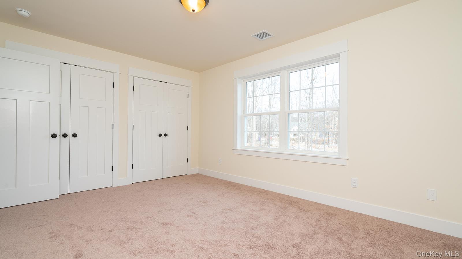 43 Malloy Road Wallkill, NY 12589 - Photo 39 of 50 Unfurnished bedroom featuring multiple closets and light colored carpet