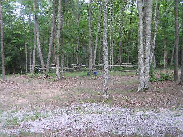0 Young Road Whitwell, TN 37397 - Photo 18 of 19 Additional Photo