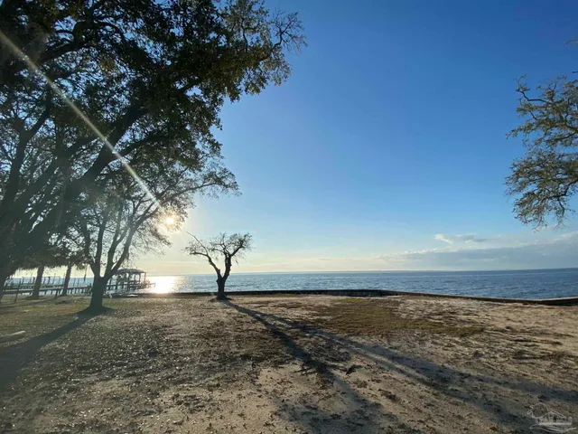 a view of yard with trees