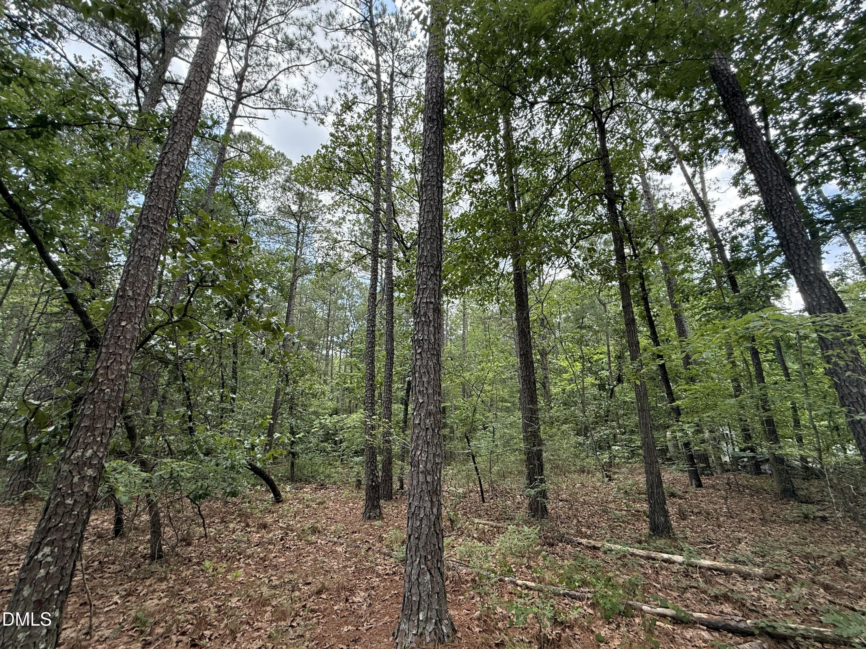 0 Elfman Drive Spring Lake, NC 28390 - Photo 15 of 40 a view of a forest with trees