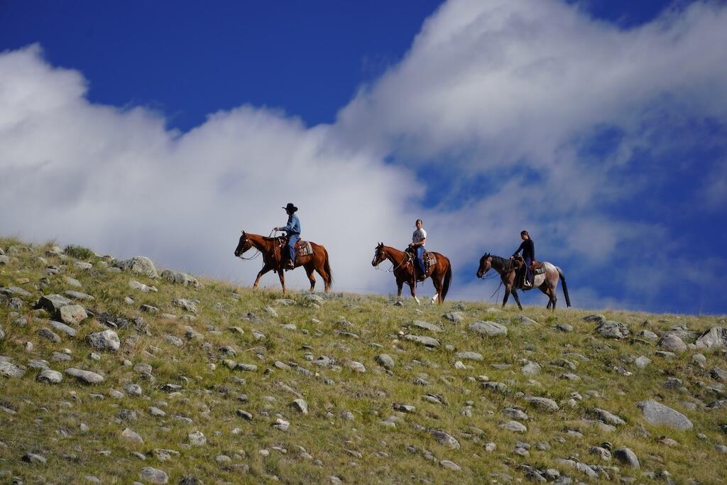 Upper French Creek Road Buffalo, WY 82834 - Photo 19 of 73 Riding