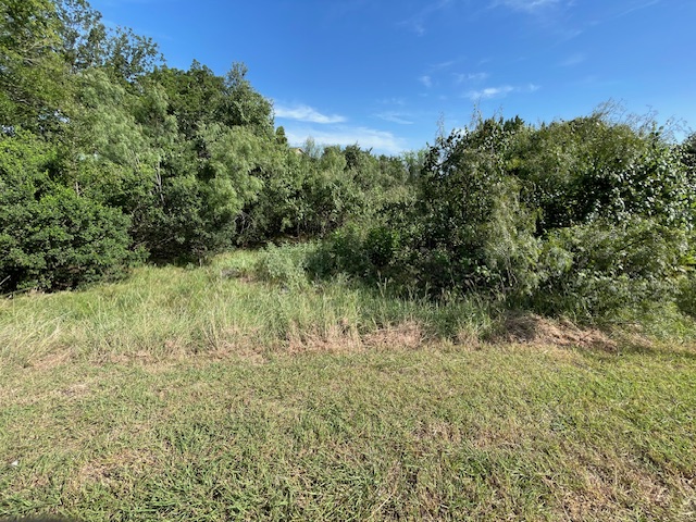 Lot 80 Wesley Ridge Drive Spicewood, TX 78669 - Photo 3 of 12 a view of a garden