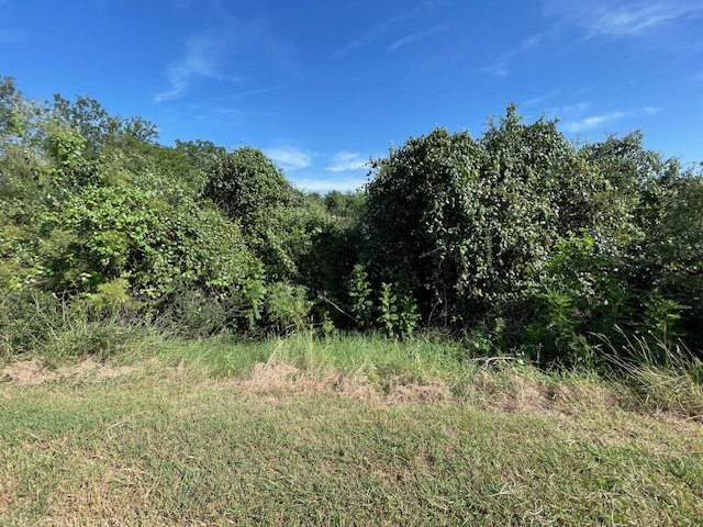 Lot 80 Wesley Ridge Drive Spicewood, TX 78669 - Photo 4 of 12 a view of a lush green space