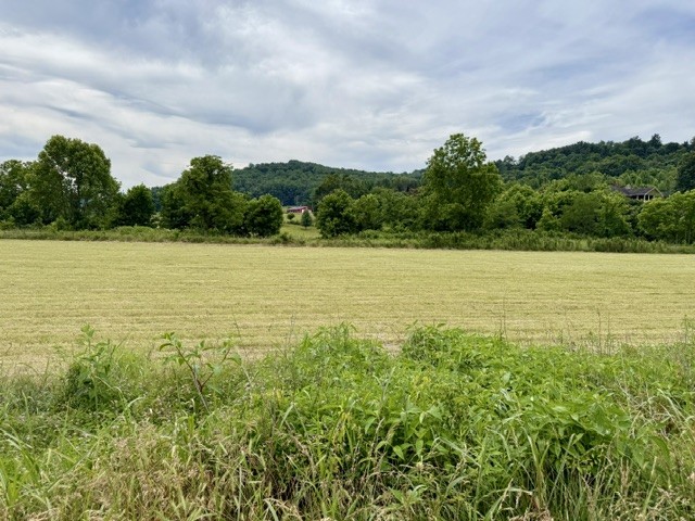 200 Max Lane Rickman, TN 38580 - Photo 49 of 54