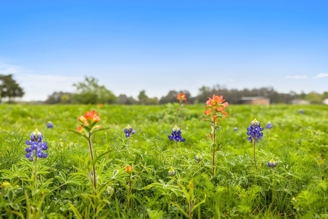 100 County Road 234 Georgetown, TX 78633 - Photo 1 of 1