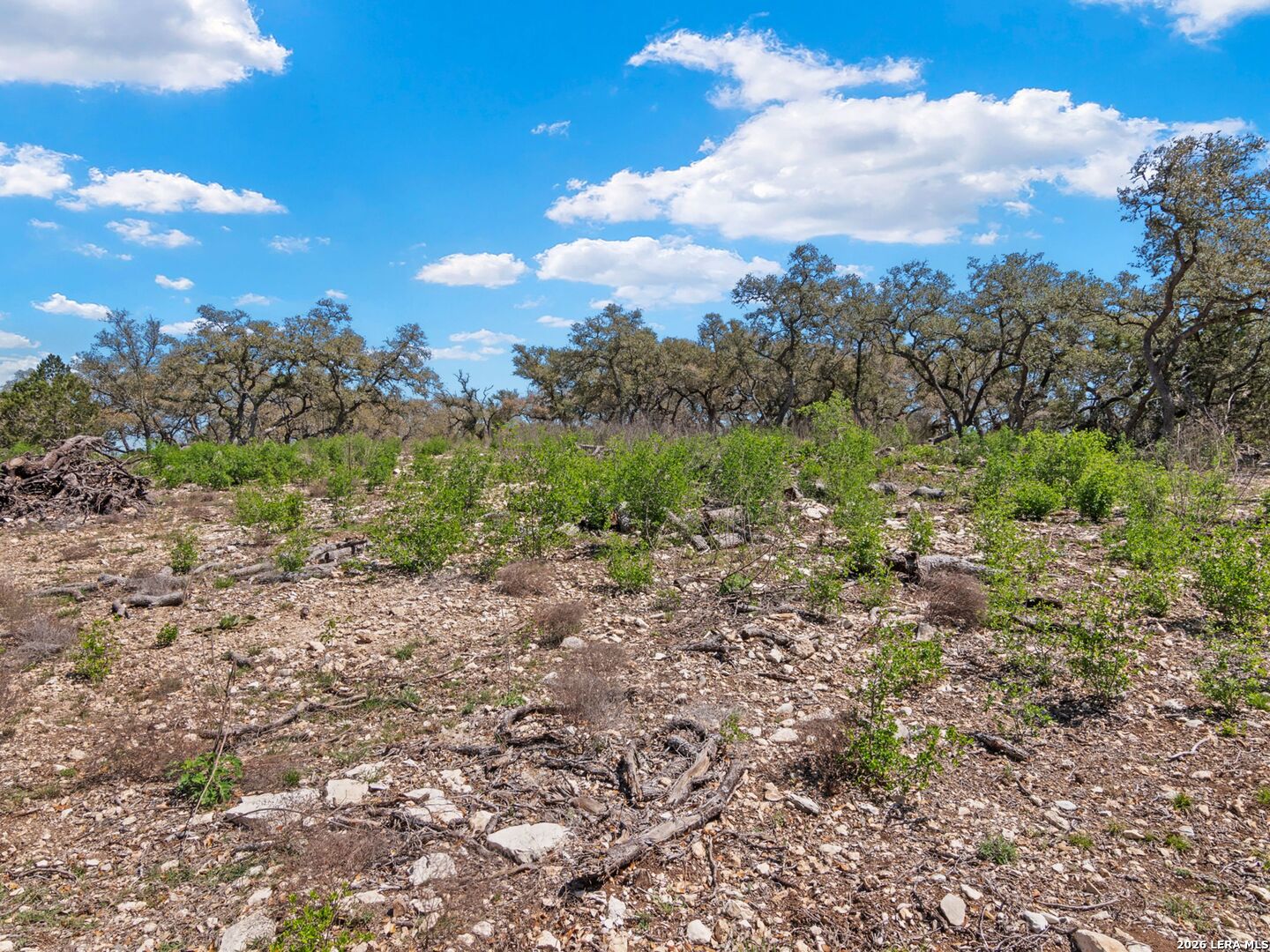 189 Table Rock Helotes, TX 78023 - Photo 14 of 91 a view of a bunch of trees in a field